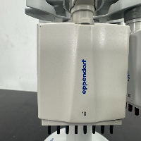 Eppendorf Research Plus Multichannel Pipettes and Stand image 2